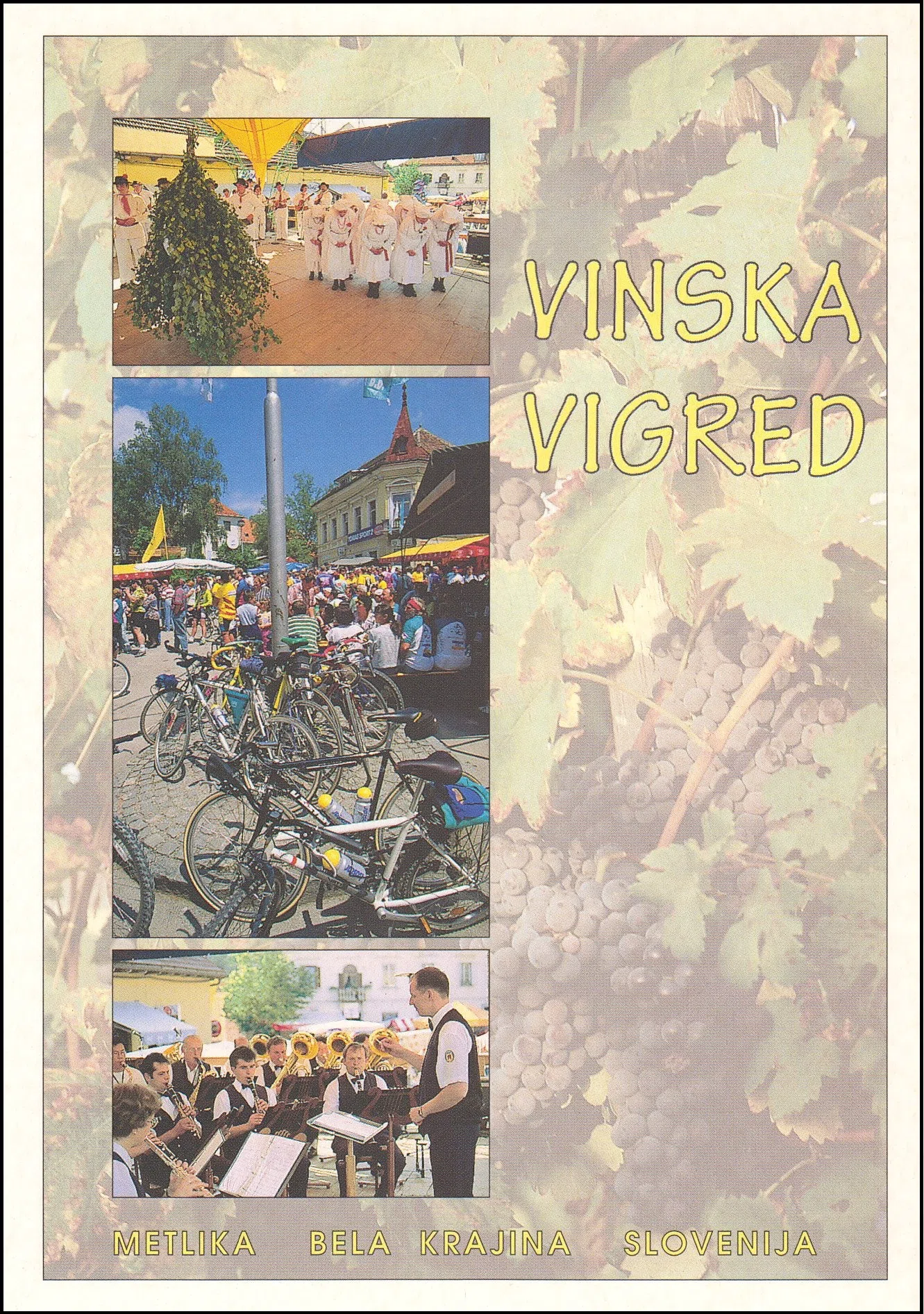 VINSKA VIGRED V BELI KRAJINI